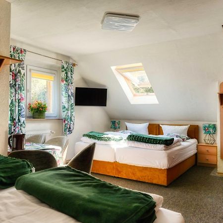 Bed and Breakfast Osrodek Jagienka Zieleniec Душники-Здруй Екстер'єр фото
