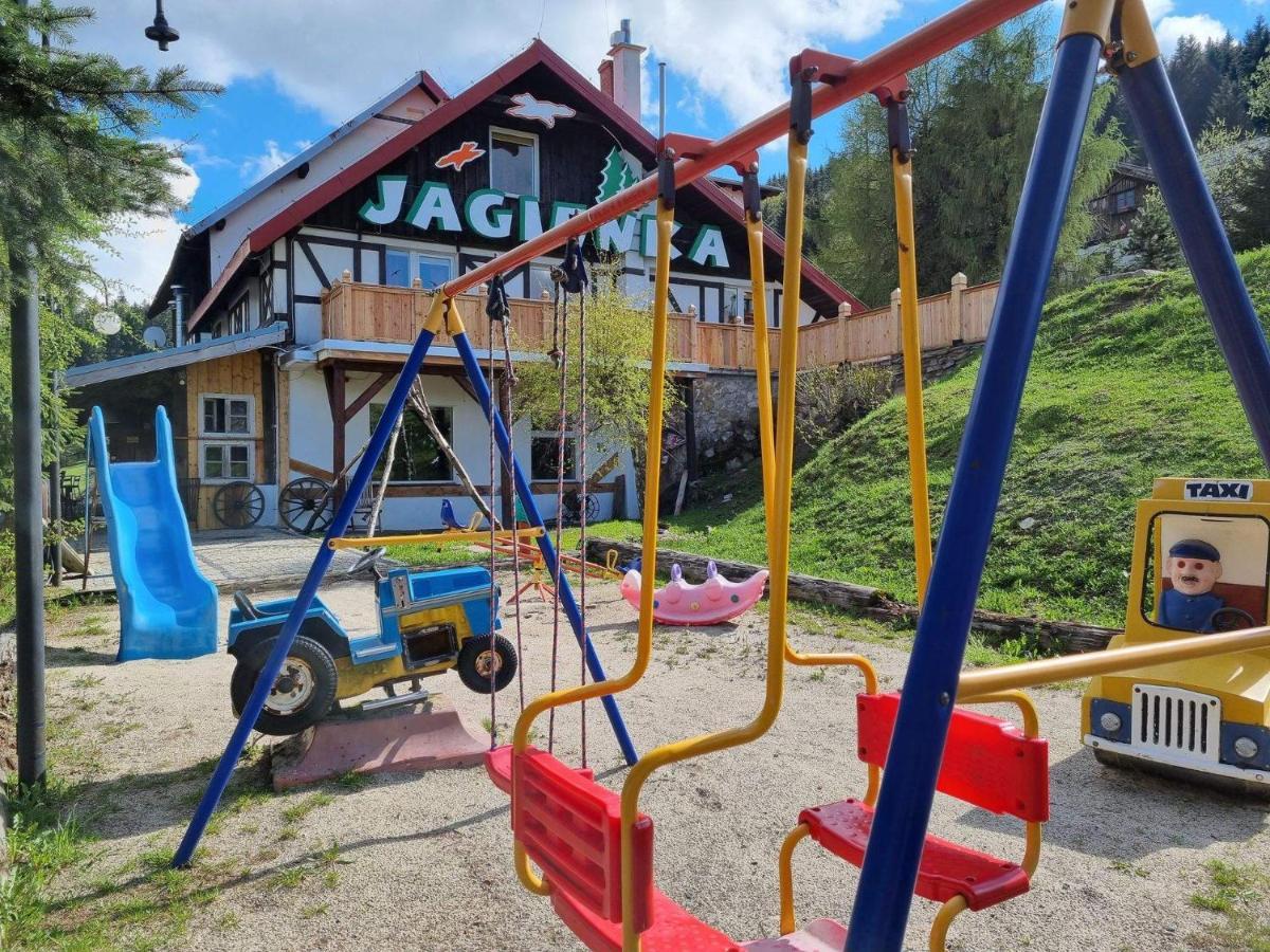 Bed and Breakfast Osrodek Jagienka Zieleniec Душники-Здруй Екстер'єр фото